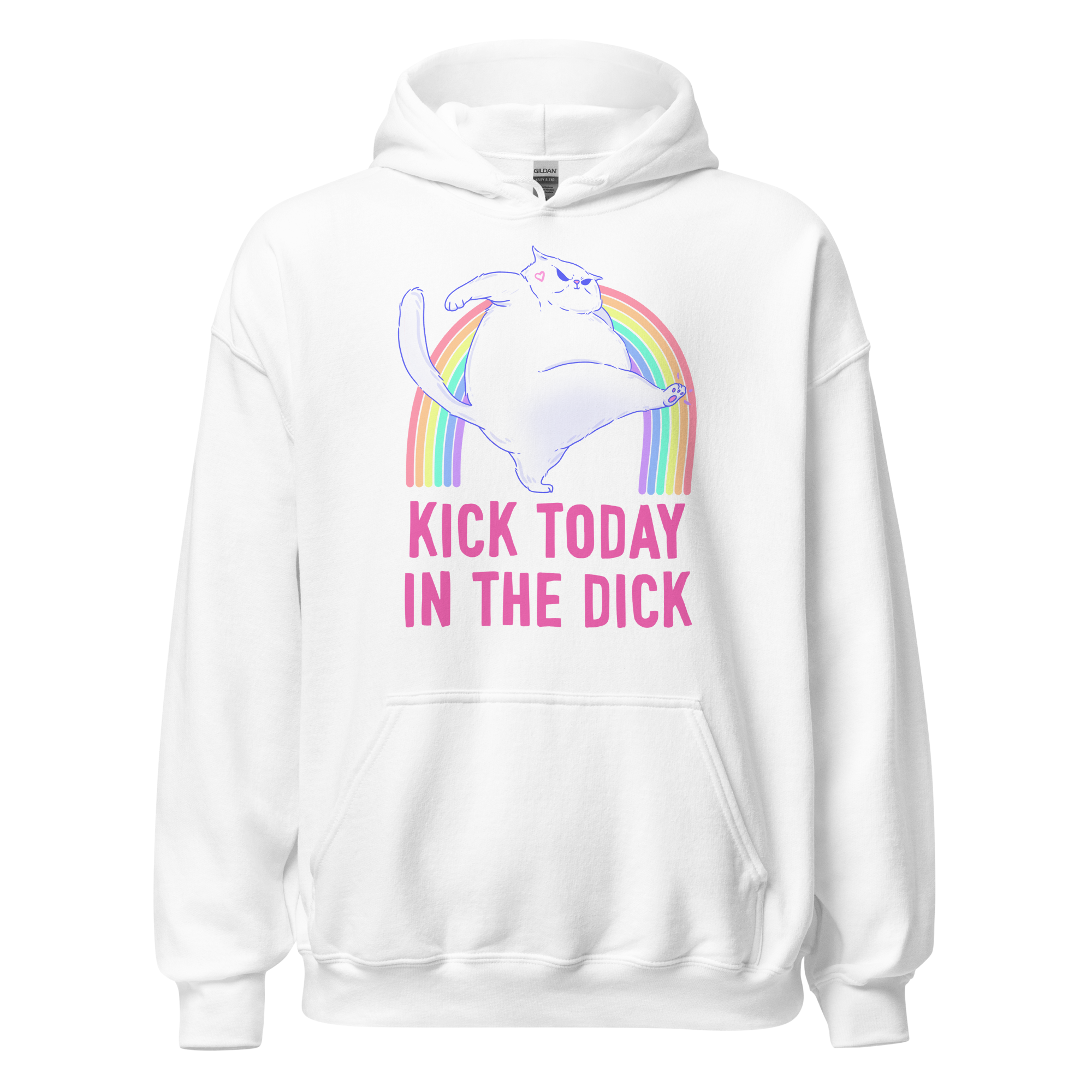 Kick Today in the Dick Hoodie featuring a chonky cat jumping over a rainbow on a pink background.